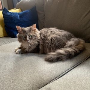 Meet your Posher, Melissa